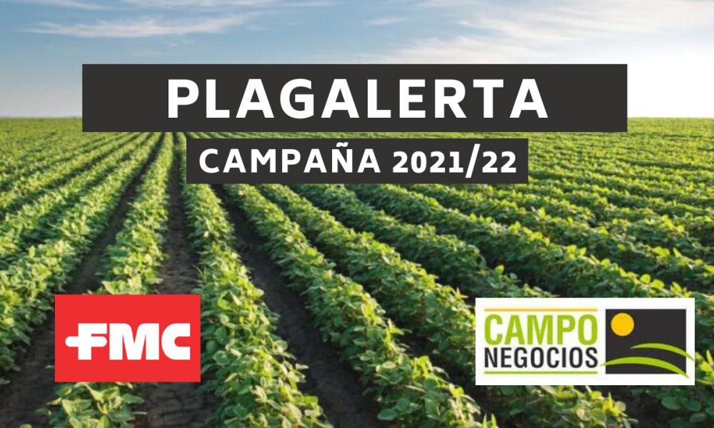 Avance de las plagas en cultivos extensivos.