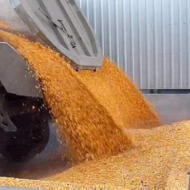 Acopio de cereales